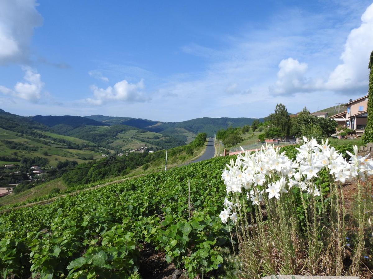 Domaine Des Gardette Hotel Vaux-en-Beaujolais Exterior photo